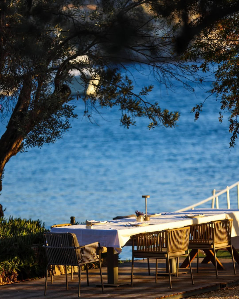 Sia Eli Bodrum: Gümüşlük’te MSA Mutfağı Farkıyla Bir Sofra Deneyimi