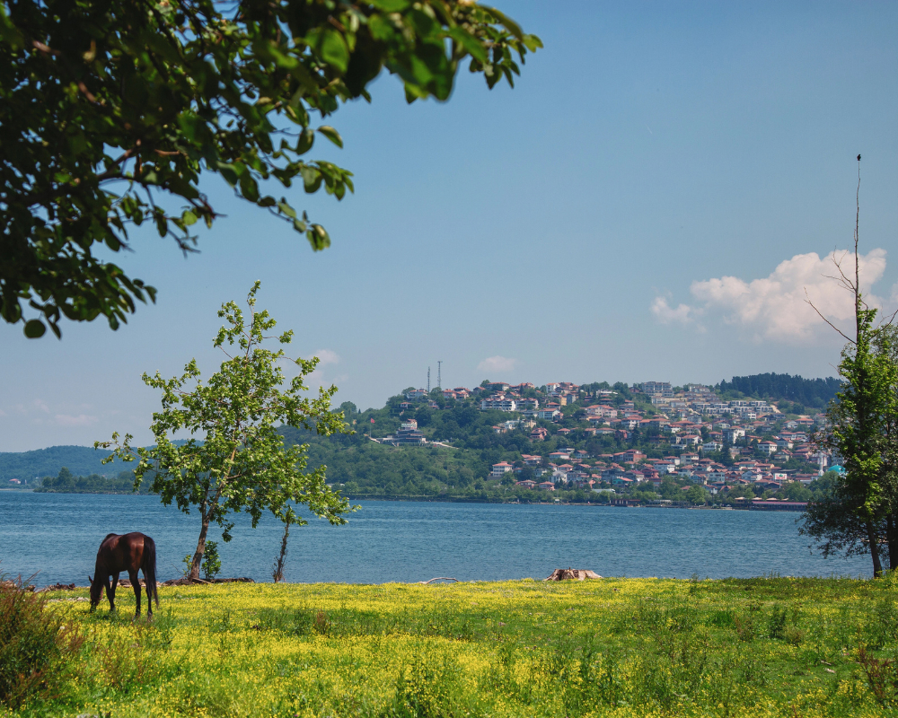 Sapanca Seyahat Rehberi: Maviyle Yeşilin Buluştuğu Nokta