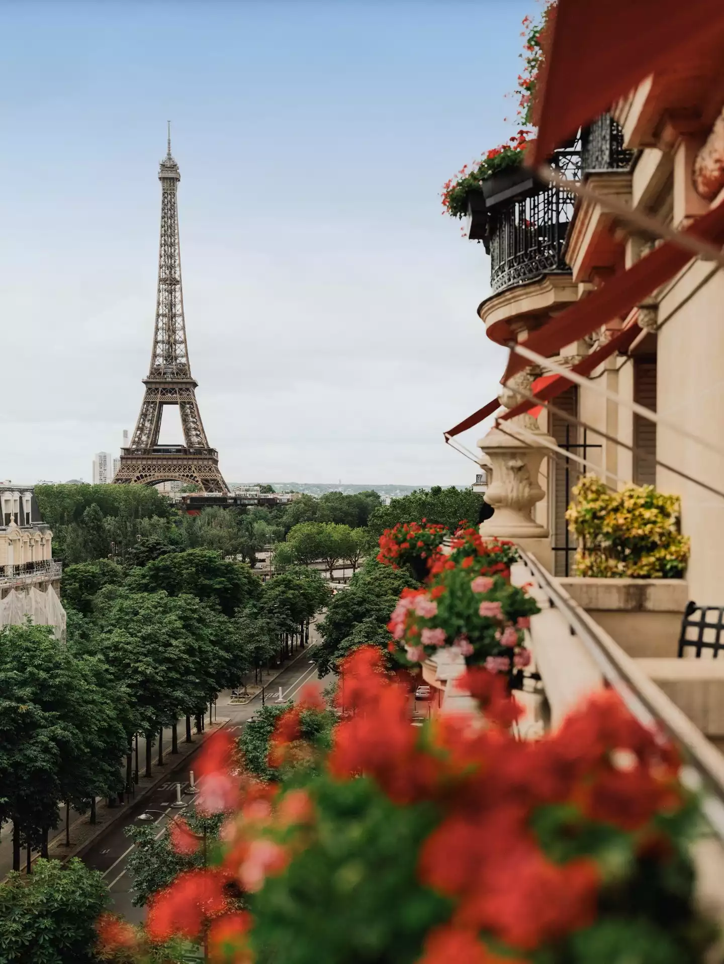 Paris'teki meşhur Plaza Athénée otelinin Eyfel Kulesi'ne bakan odalarından birindeki balkonundan çekilmiş bu fotoğrafta, sağda zarif kırmızı tenteler ve saksılarda canlı kırmızı ve pembe çiçekler belirginleşirken, uzakta Eyfel Kulesi yemyeşil ağaçların ve şehir caddelerinin üzerinde yükseliyor.