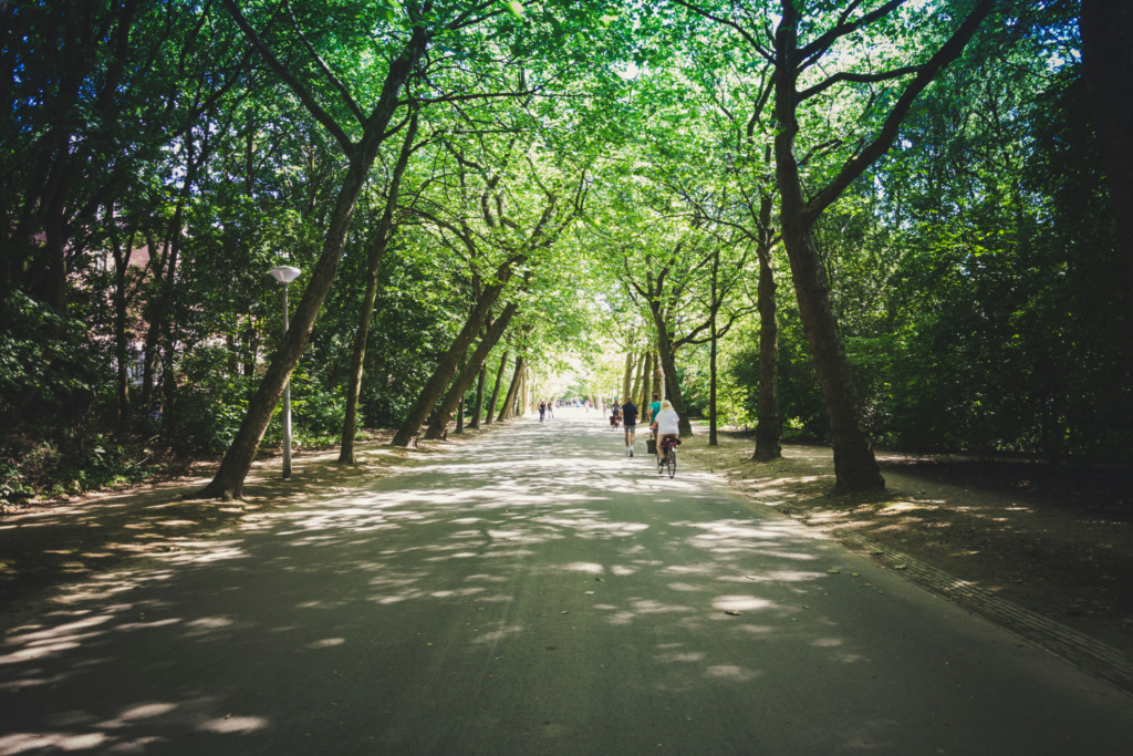 Amsterdam’ın ünlü Vondelpark’ında, yemyeşil ağaçların gölgesindeki geniş yolda bisiklet süren ve yürüyüş yapan insanlar, güneşli bir günde şehrin huzurlu atmosferini ve enerjisini keyifle deneyimliyor.