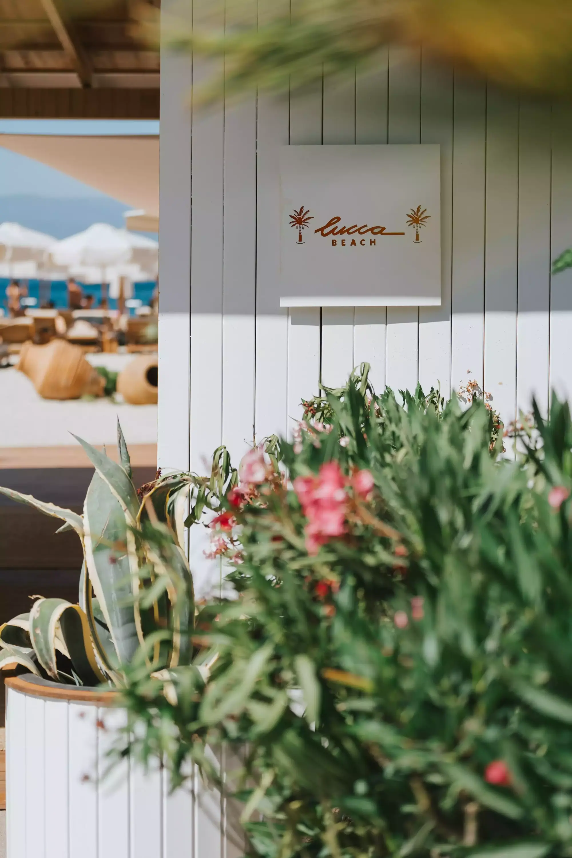 Lucca Beach tabelasının asılı olduğu beyaz lambrili bir duvarın önünde yeşil yapraklı bitkiler ve hafif pembe çiçekler belirginleşirken, arka planda güneşli bir kumsalda yer alan şemsiyeler ve berrak denizi gösteren bulanık bir plaj manzarası dikkat çekiyor.