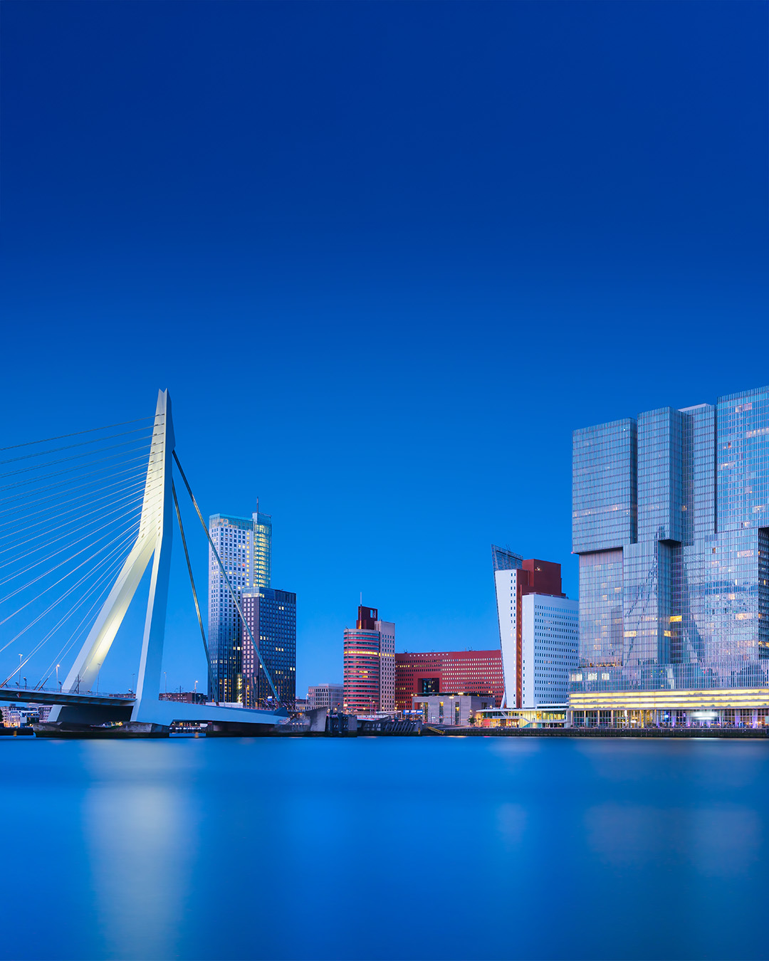 Derin mavi alacakaranlık gökyüzü altında, beyaz Erasmus Köprüsü'nün ve modern gökdelenlerin gece ışıklarıyla aydınlandığı Rotterdam şehir merkezi manzarası, sakin su yüzeyindeki yansımalarıyla büyüleyici bir atmosfer sunuyor.