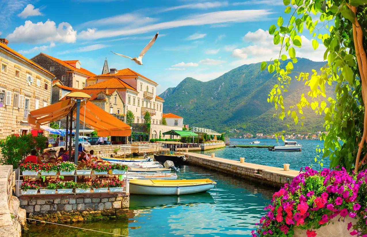 Kotor kıyısında, tarihi taş binaların ve turuncu tenteli bir kafenin önündeki canlı renkli çiçeklerle süslenmiş terasta insanların oturduğu, berrak mavi sularda teknelerin demirlediği, yemyeşil dağlarla çevrili bir koy manzarası, gökyüzünde süzülen bir martı ve sağda güneş ışığında parıldayan ağaç yaprakları.