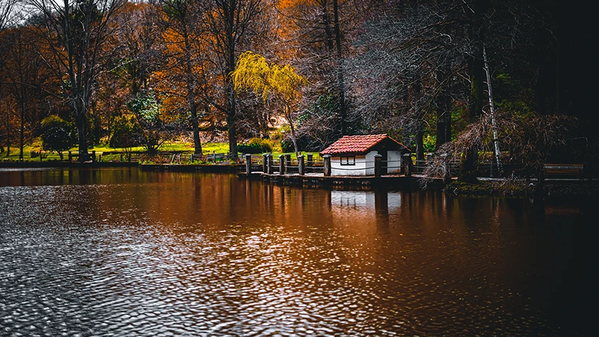 Atatürk Arboretumu'nda, sonbaharın kahverengi, turuncu ve sarı tonlarındaki ağaçlarının yansıdığı dalgalı göl yüzeyinde, kırmızı kiremitli çatısı olan ahşap iskeleli beyaz bir kulübe göze çarpıyor.