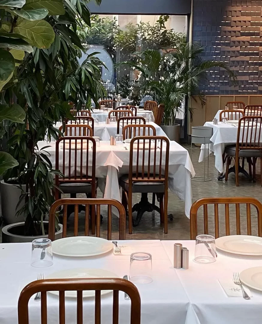 Karaköy Lokantası'nın yeşil bitkilerle dolu, doğal ışık alan iç mekanında, beyaz örtülü, özenle hazırlanmış masalar ve ahşap sandalyeler, duvarda dokulu panel detayıyla birleşerek misafirleri bekleyen şık ve huzurlu bir yemek atmosferi sunuyor.
