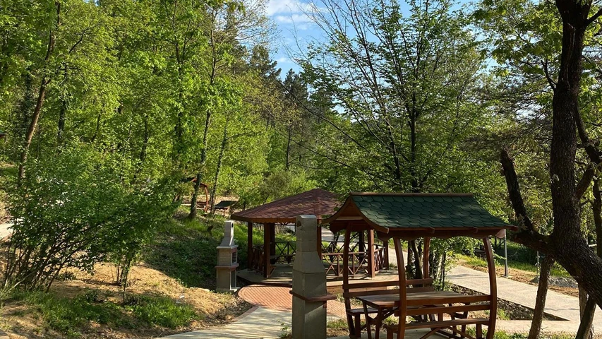 Polonezköy Tabiat Parkı'nda yemyeşil ağaçlarla çevrili bir alanda, üzeri yeşil ve kahverengi kiremitli çatılarla kaplı ahşap kamelyalar, barbekü üniteleri ve piknik masaları içeren düzenlenmiş bir dinlenme alanı net bir şekilde görülmektedir.