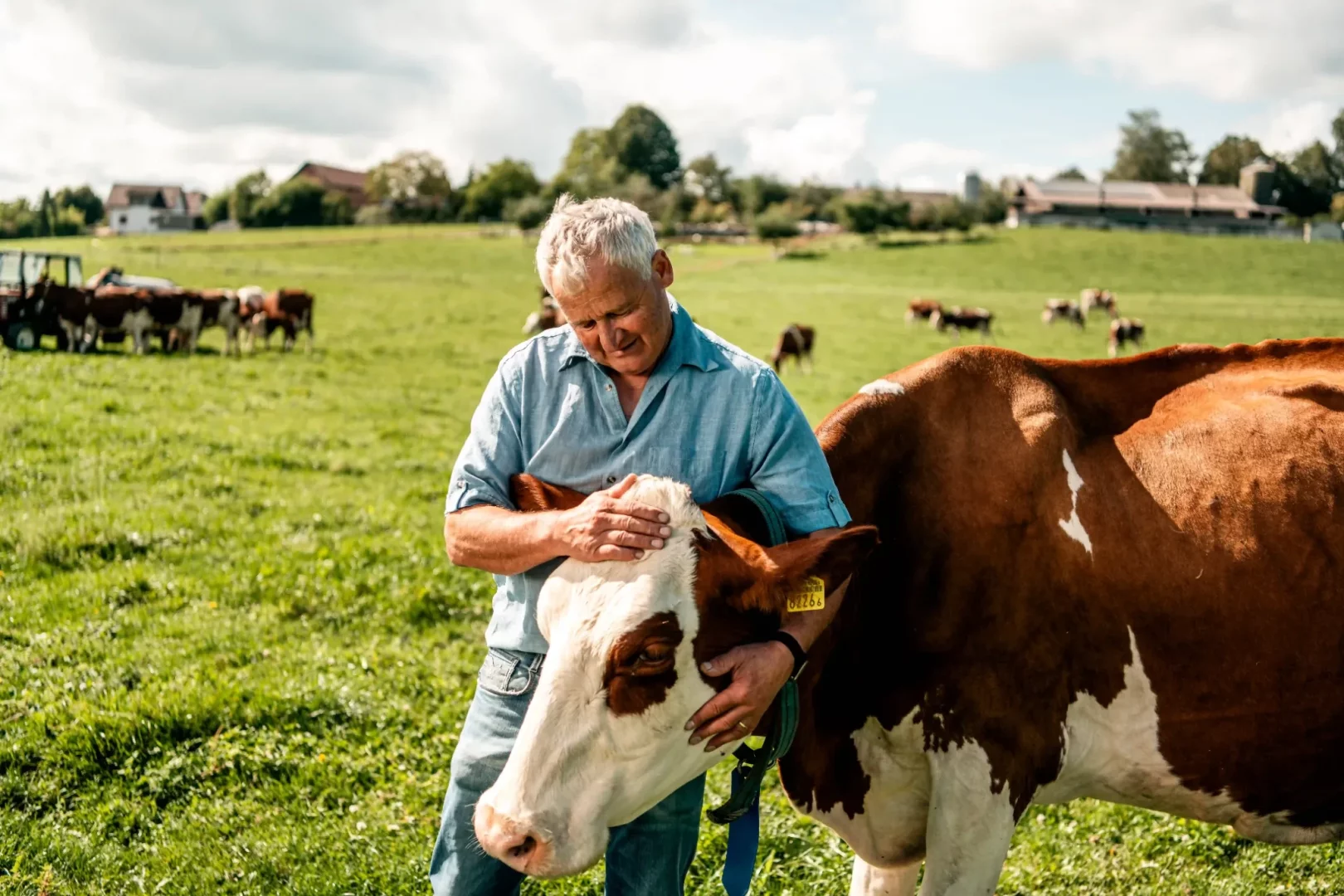 İsviçre'nin yemyeşil çayırlarında, deneyimli bir çiftçi kahverengi ve beyaz bir ineğin başını şefkatle okşarken, bu pastoral an, Läderach'ın kaliteli sütlü çikolatalarının temel ham maddesi olan sütün kaynağında gösterilen özeni ve iyi çikolatanın ardındaki gerçek zanaatı vurguluyor.