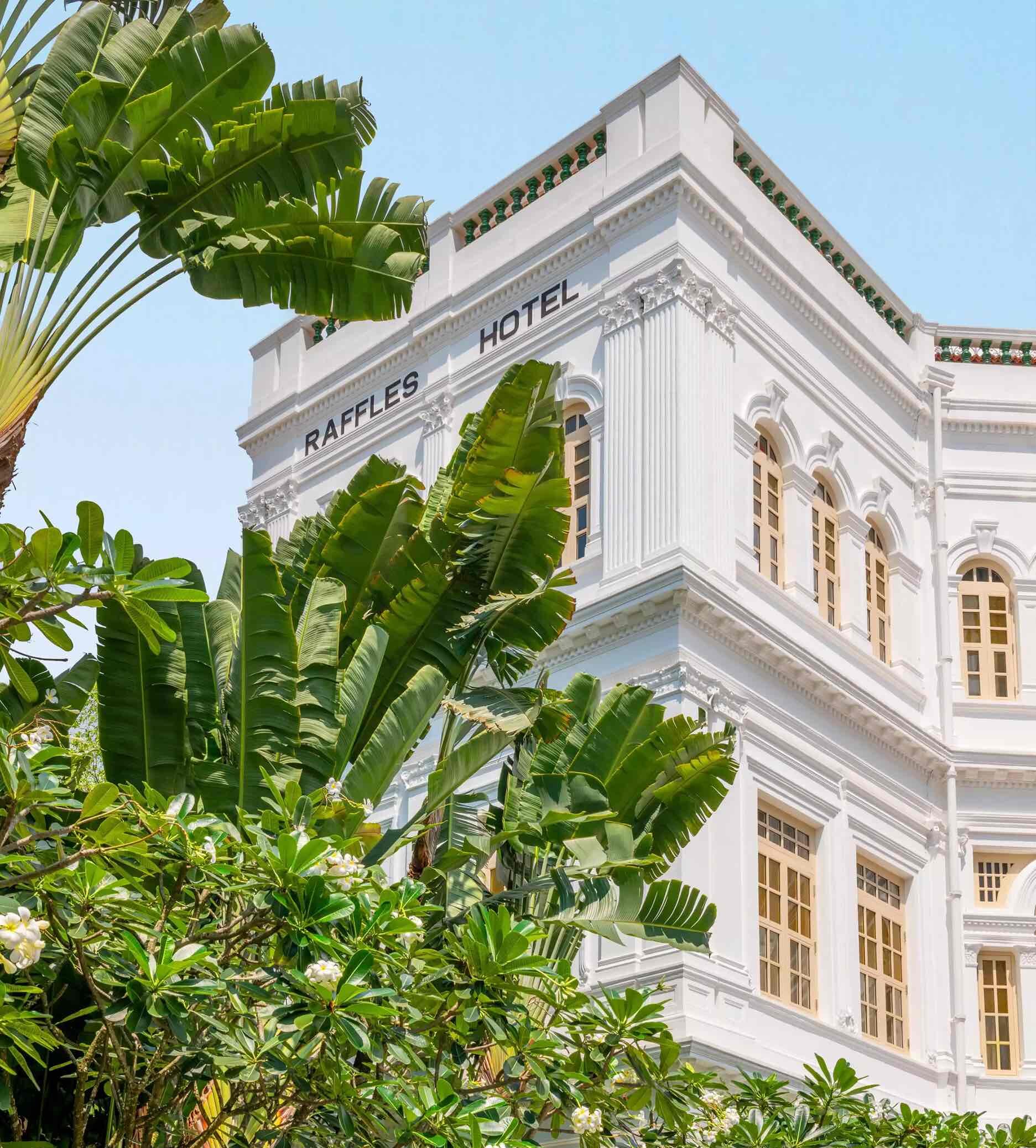 Tropikal bitki örtüsüyle çevrili, bej pencereleri ve süslü detaylarıyla dikkat çeken, cephesinde RAFFLES HOTEL yazan beyaz renkteki tarihi bir otelin zarif mimarisi, aydınlık mavi bir gökyüzü altında gösteriliyor.