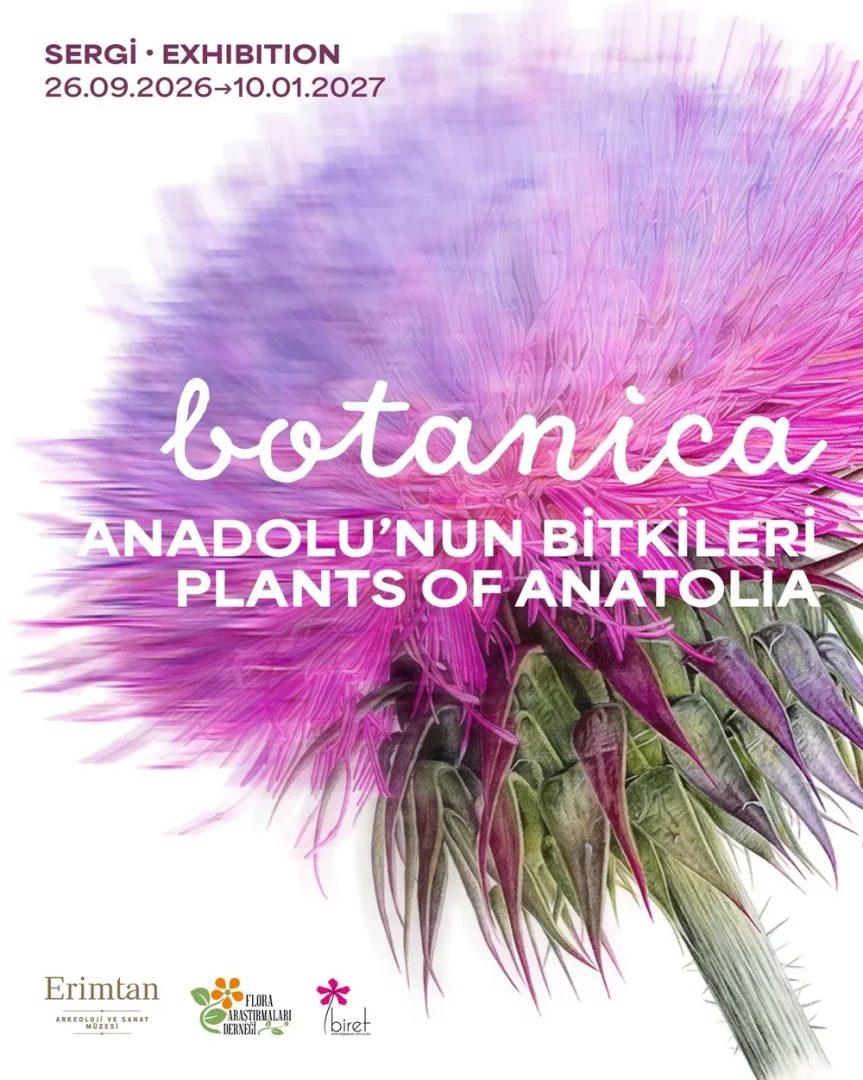 Anadolu'nun Bitkileri temalı Botanica sergisinin afişi, beyaz zemin üzerinde canlı mor ve pembe tonlarındaki kabarık, tüylü çiçeği ile sivri uçlu, dikenli yeşil yapraklı gövdesiyle dikkat çeken, sanatsal bir bitki illüstrasyonunu sunuyor.