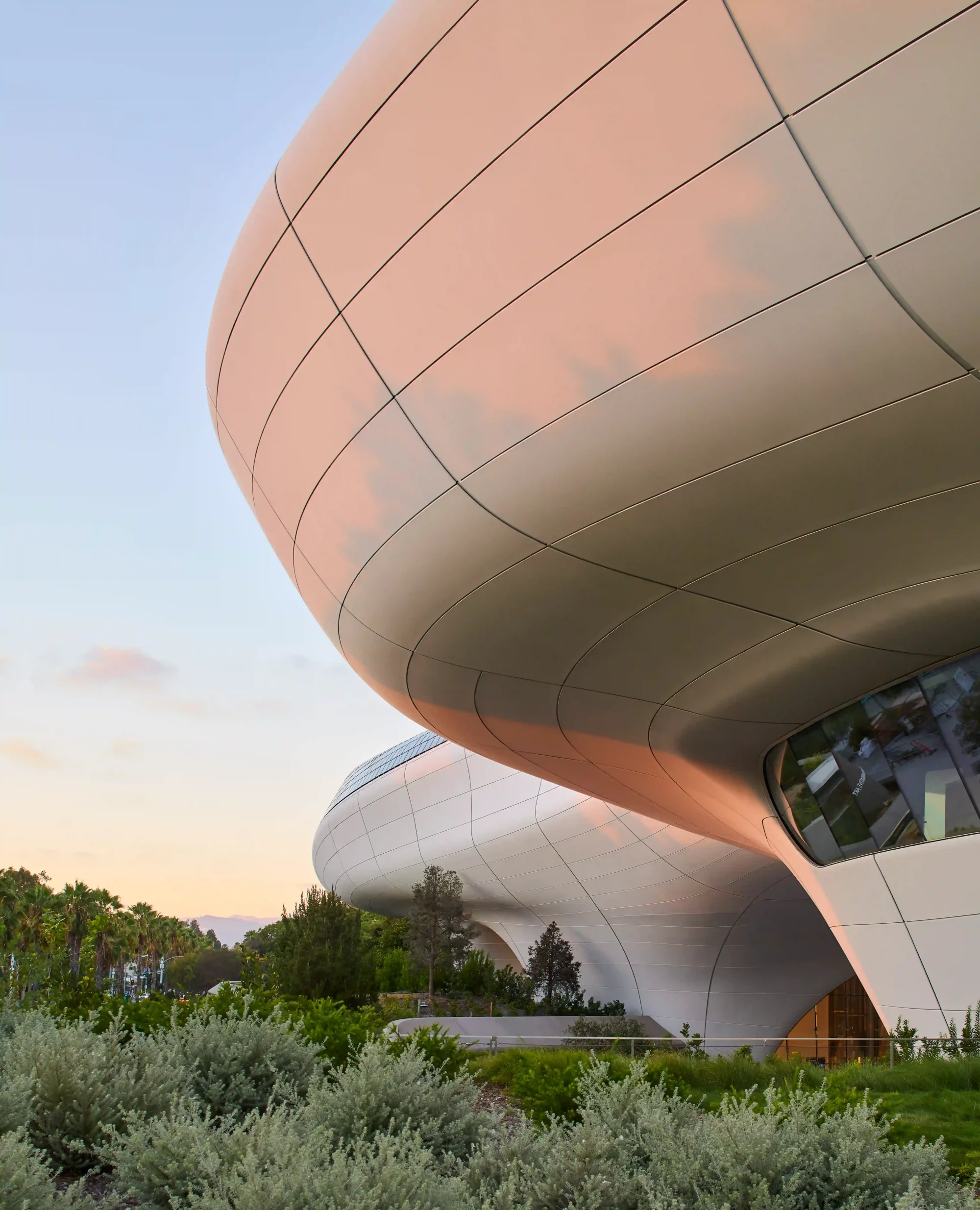 Los Angeles'taki Lucas Museum of Narrative Art'ın, Ma Yansong imzalı, akıcı hatlara sahip, kavisli ve hafif pembeleşmiş panellerle kaplı modern mimarisi, etrafındaki yemyeşil park ve gün batımının yumuşak ışıkları altında etkileyici bir görünüm sergiliyor.