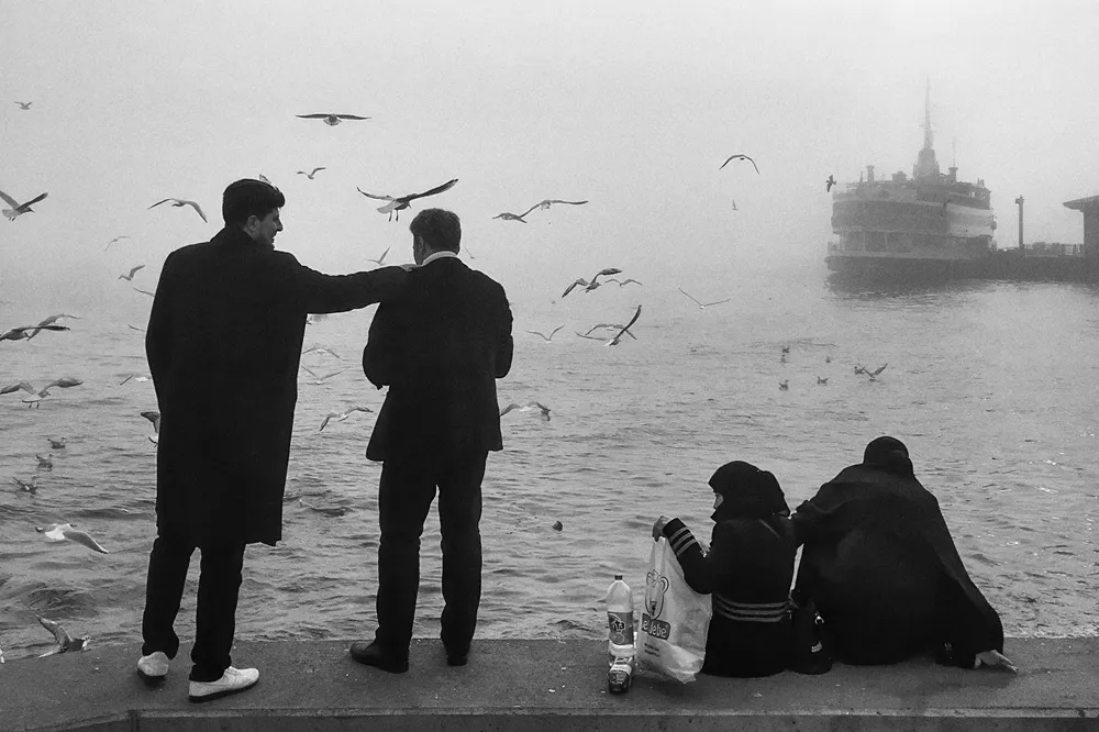 Sisli bir İstanbul manzarasında, iskelede duran iki erkekden biri kolunu diğerinin omzuna atmış suya bakarken, etraflarında birçok martı uçuşuyor ve sağda oturan iki kadın da bu sakin anı denize dönük izliyor, uzakta ise puslu bir vapur seçiliyor.