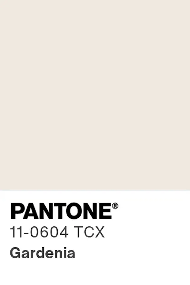 Görselde, büyük bir alanı kaplayan açık krem bej tonunda bir renk örneği ve altında büyük siyah harflerle PANTONE® 11-0604 TCX Gardenia yazısı yer alıyor; bu kartela, post içeriğinin ana konusu olan zarif Pantone Gardenia rengini belirgin bir şekilde sunuyor.
